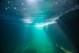 Komarnica underwater: a cold kaleidoscope full of life